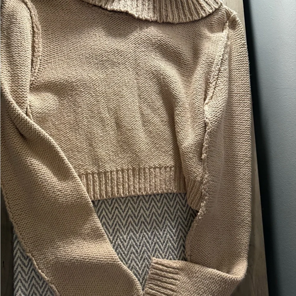 Free People Cream Turtleneck Sweater